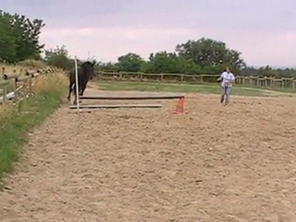 MOV027