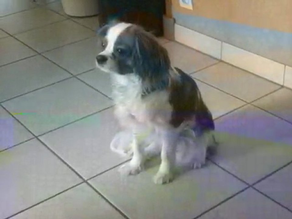 Micki♥