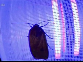 pollution lumineuse - la face obscure de la lumiere 1_3