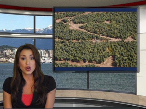 Commerce Resources Corp. (TSXV: CCE) News Alert