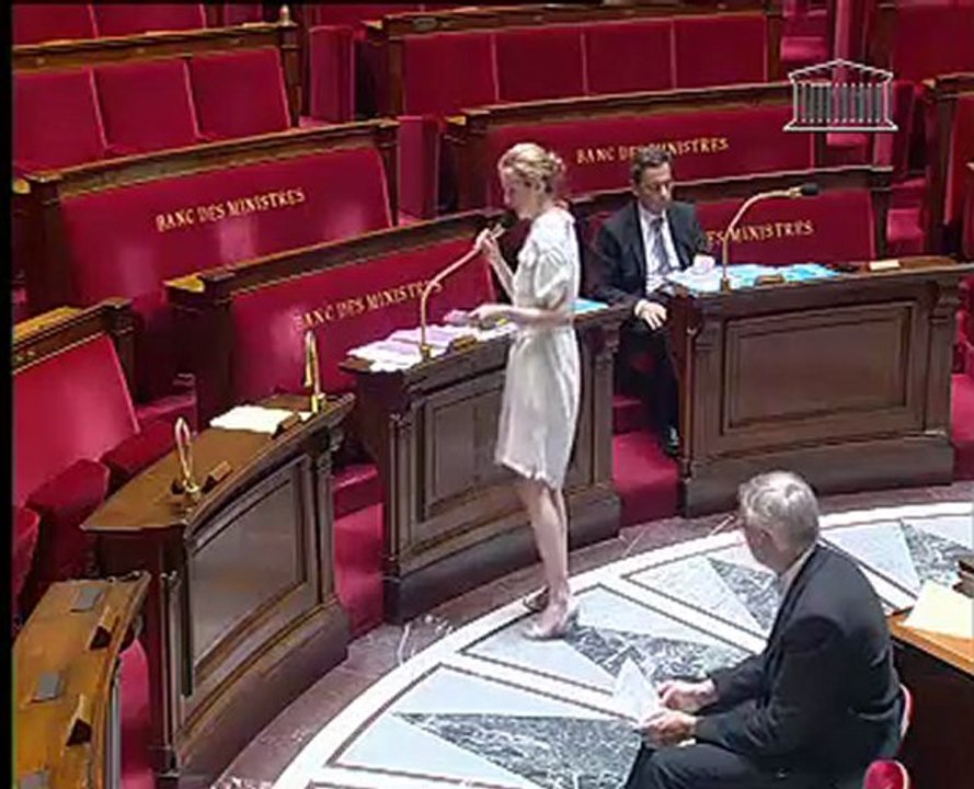 Question au gouvernement de Jean-Claude Pérez
