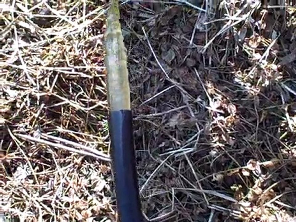 Cleaning Out My Water Pond Garden