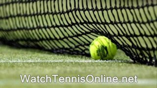 watch Wimbledon Quarter Finals 2011 live streaming