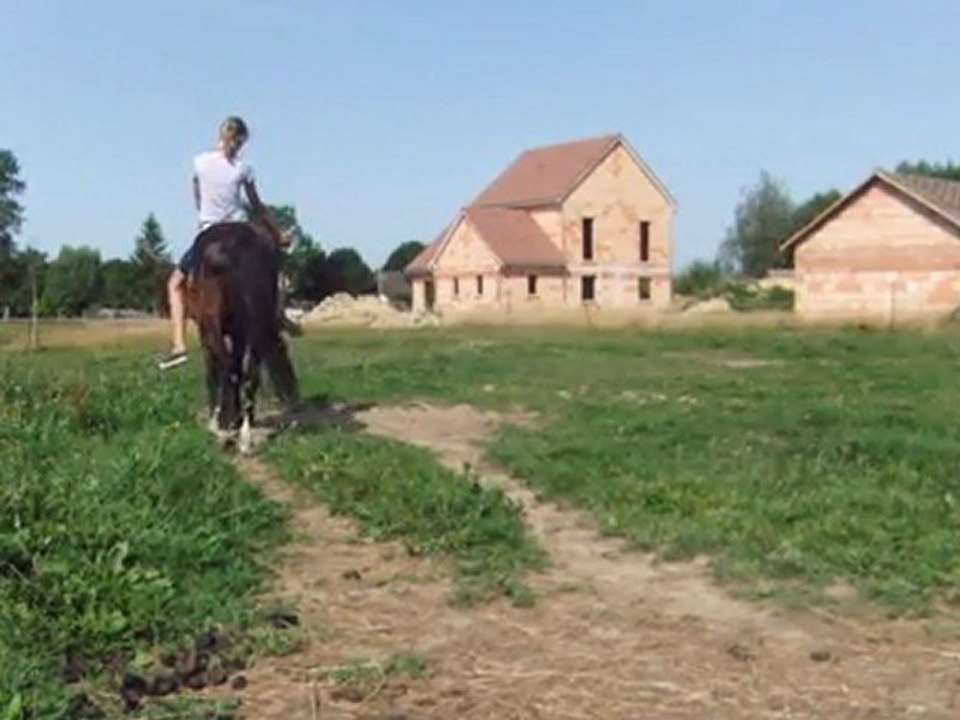 monte au pas en total libertée