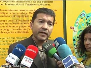 Recuperan a las lobas que se habían escapado