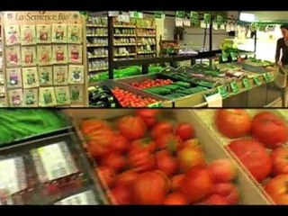 La Semence Bio, Tout l'univers du jardin potager Bio