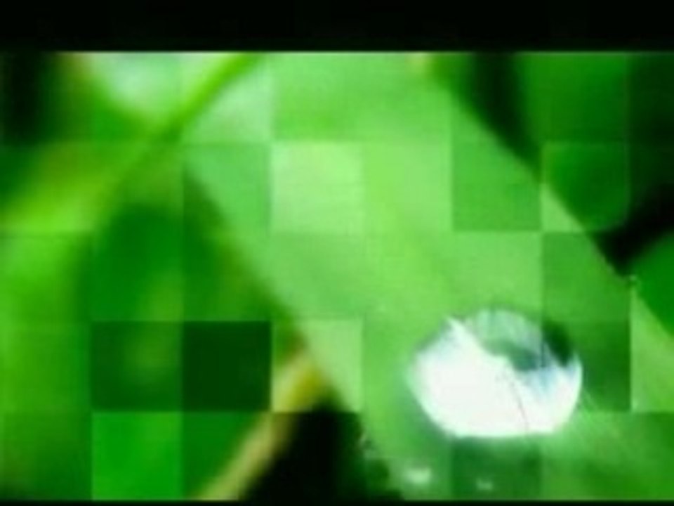 1er concours loulou a ligny