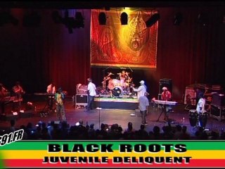 Black Roots - Juvenile Deliquent, aux Ecolozicalizes 2011