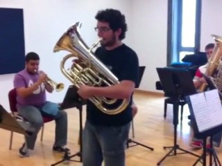 Portes acoustiques