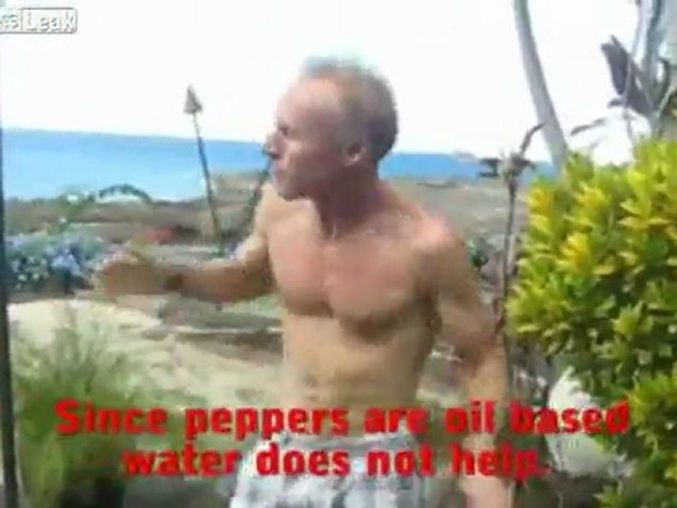 Chili Pepper CEO In Agony Nach Essen Geist Pfeffer