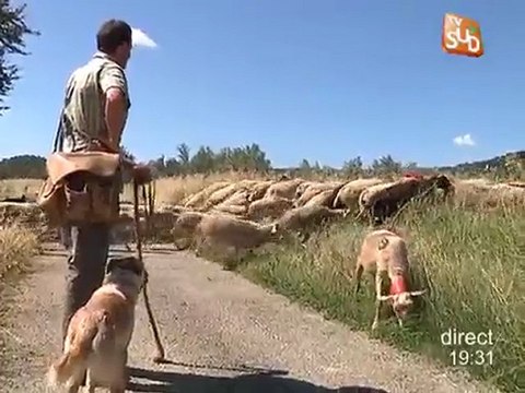Les Causses et les Cévennes à l'Unesco‎!
