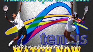 watch Wimbledon Semi Finals live online free