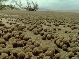 Au Coeur des Océans La Planète Bleue (7/8)