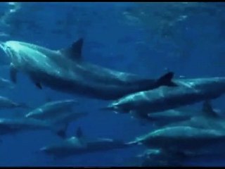 Le vaisseau SeaOrbiter