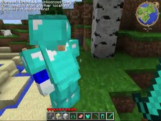 Petite Balade De Naruto Et  Bigboss Dans Minecraft