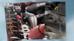 Auto Repair Englewood CO (303) 781-0161