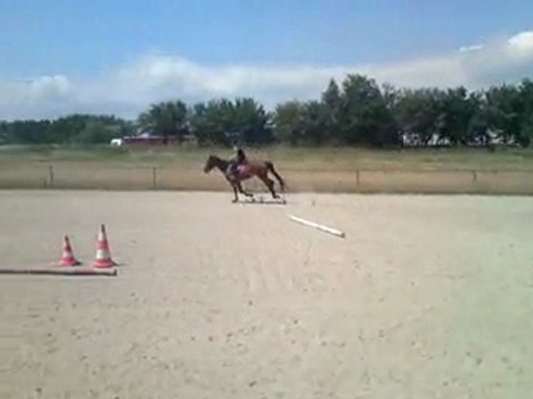 galop à main gauche