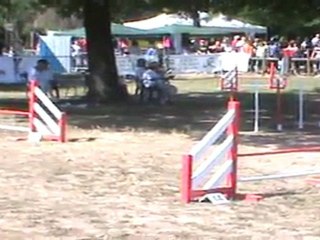 Bobullrotts 1er parcours