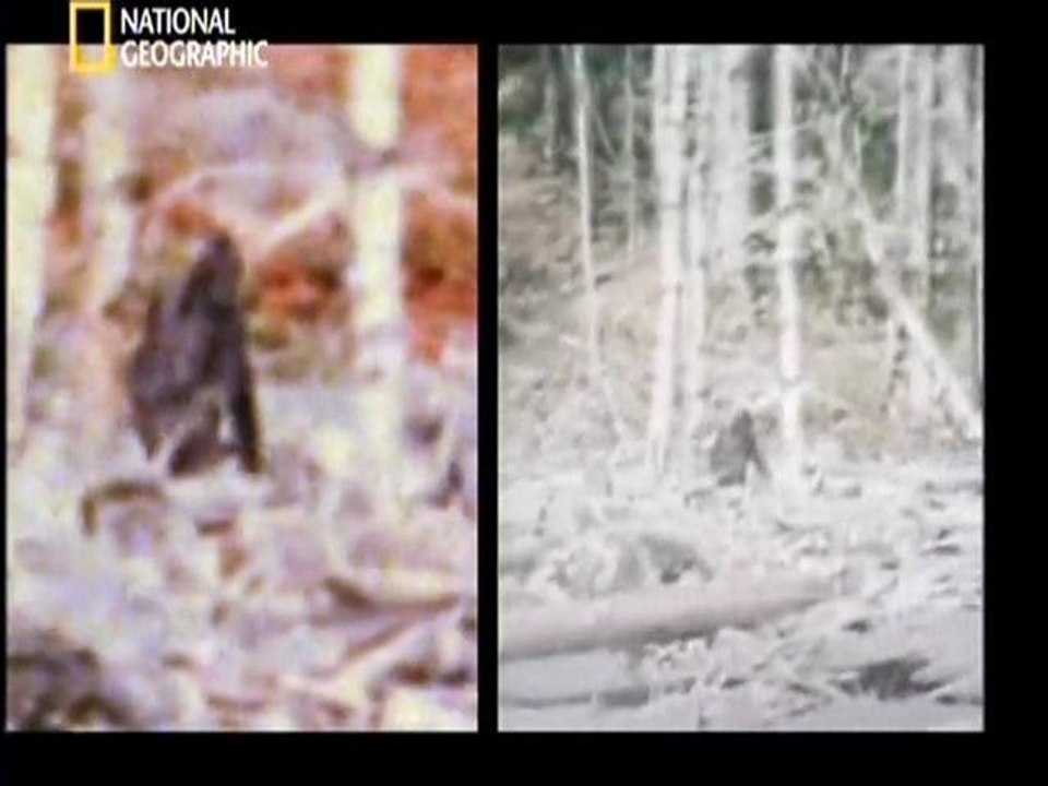 Big Foot (2)