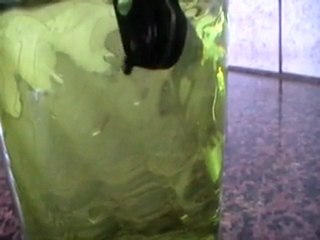 Super Fly Magic Trick - Part 2