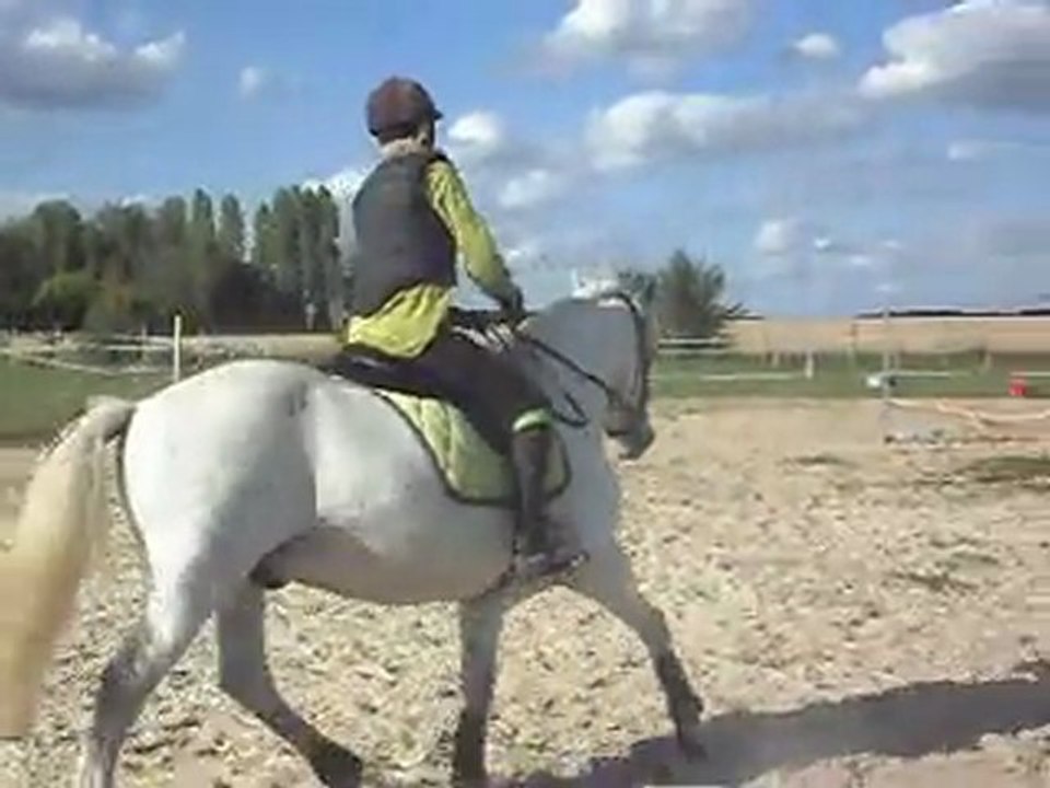 Poney-club. Les chevaux. Sauts. 6) 25/06/2011. SDC10649