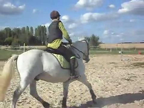 Poney-club. Les chevaux. Sauts. 6) 25/06/2011. SDC10649
