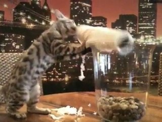 Leya fait le ménage