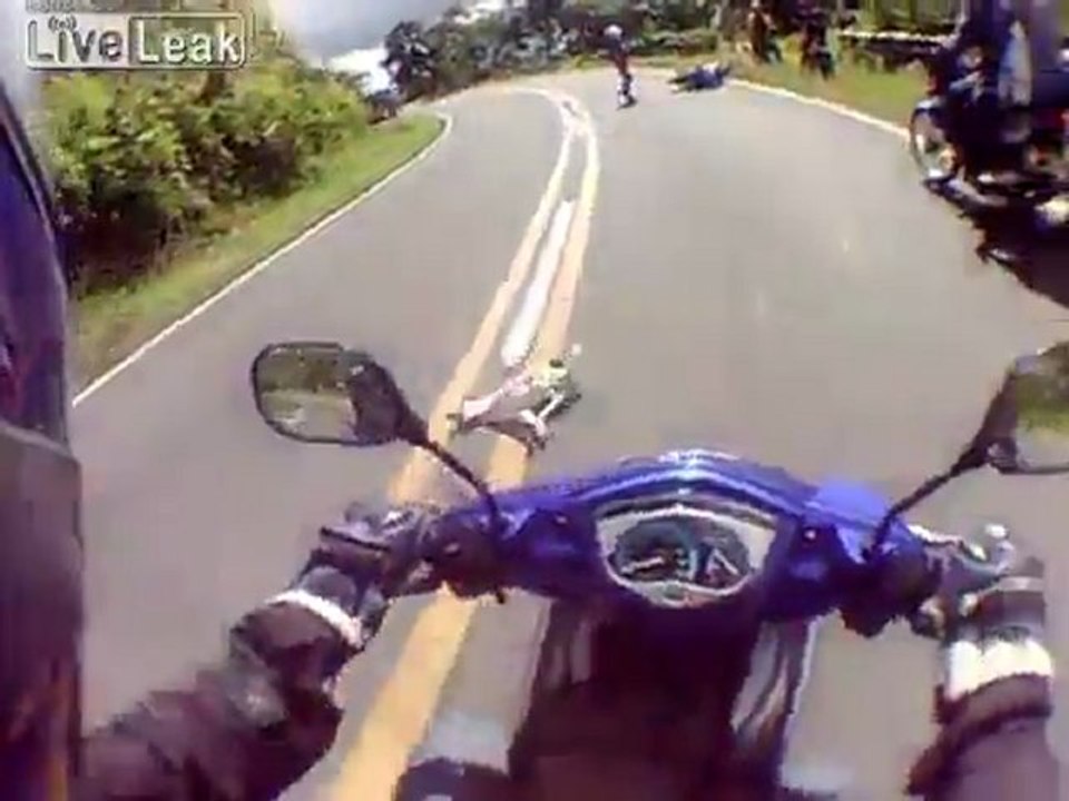 Motorradfahrer trifft einen Hund.