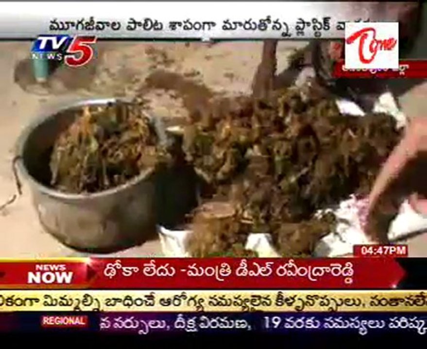 Cows were dying as a result of eating discarded plastic bags