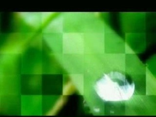 concours ligny mai 2006video