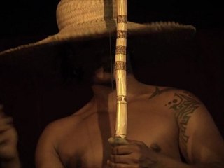 Spectacle Brésilien - Les Capoeiristes