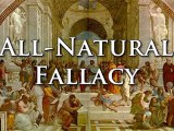 inFact: Logical Fallacies 1