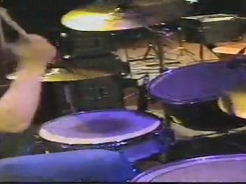 Космическая пчела