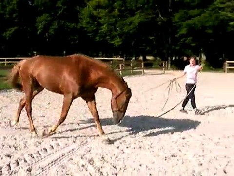 Longe aux deux mains sur sol mou - jeudi 30 juin 2011