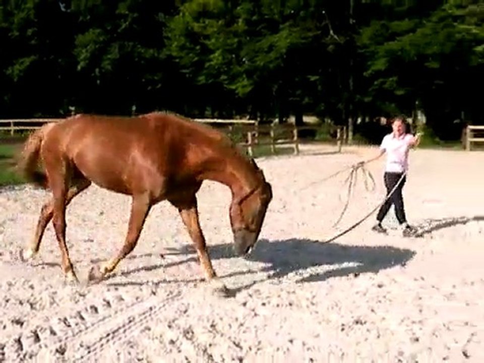 Longe aux deux mains sur sol mou - jeudi 30 juin 2011