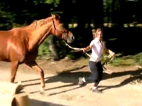 Boiterie ligne droite sol dur - jeudi 30 juin 2011