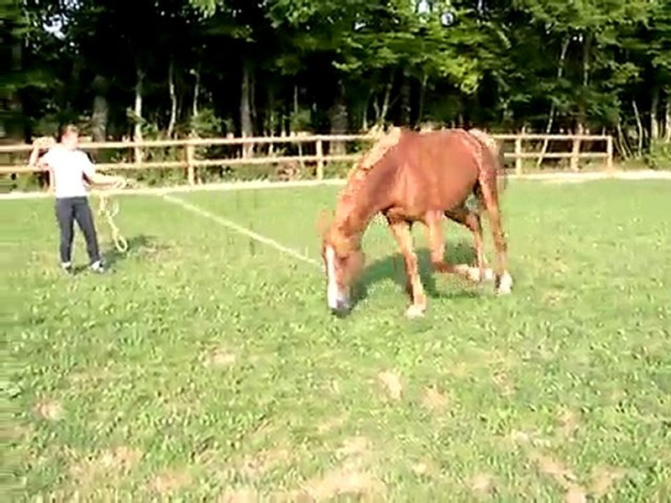 Longe sur sol dur à main droite -jeudi 30 juin 2011