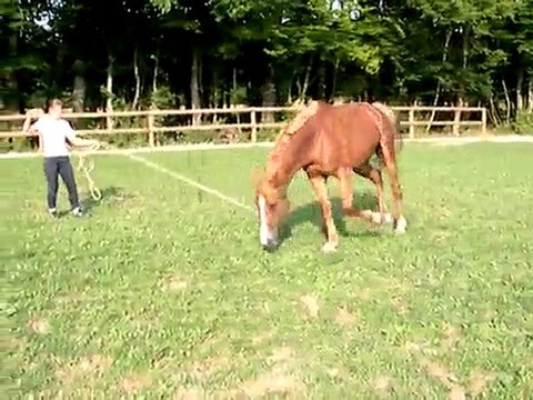 Longe sur sol dur à main droite -jeudi 30 juin 2011