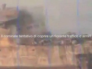 Il vento porta farfalle o neve - VerdeNero