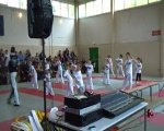 Capoeira - Stage Enfants et Adultes - par Mestre Negao