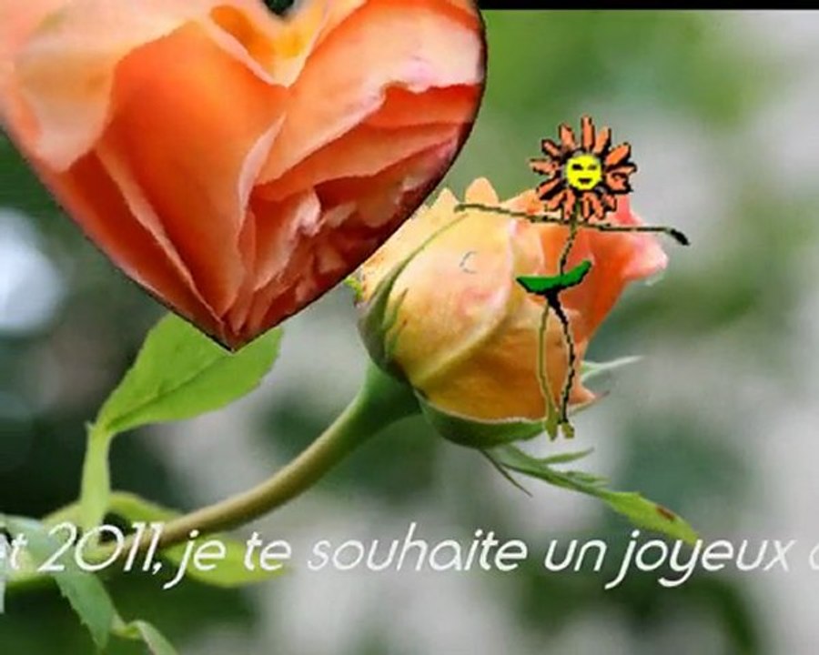 Joyeux anniversaire Judy