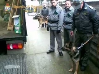 Torino - Sequestrati 200 chili di hashish