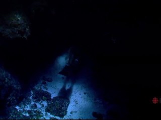 Apnée Extrème  - Les Grands Reportages Imax