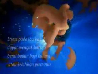 Proses Kehamilan (MP4)