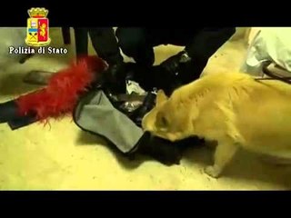 Roma - Esquilino, albergo covo dello spaccio