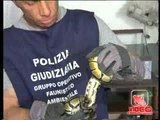 Campania - Sequestro di animali esotici