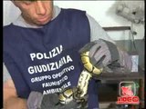 Campania - Sequestro di animali esotici