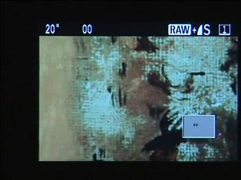 Le métier de photographe d'oeuvres d'art