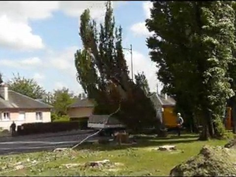 ADIEU LES VIEUX PEUPLIERS... TREBUCIEN BAYEUX