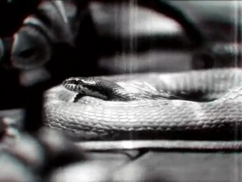 Transformers 3 - Clip iridescent de Linkin Park